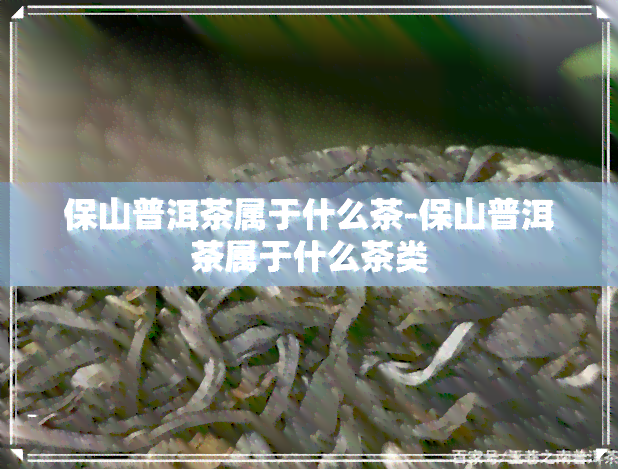 保山普洱茶属于什么茶-保山普洱茶属于什么茶类