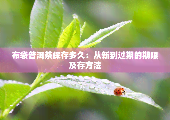 布袋普洱茶保存多久：从新到过期的期限及存方法