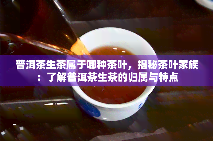 普洱茶生茶属于哪种茶叶，揭秘茶叶家族：了解普洱茶生茶的归属与特点