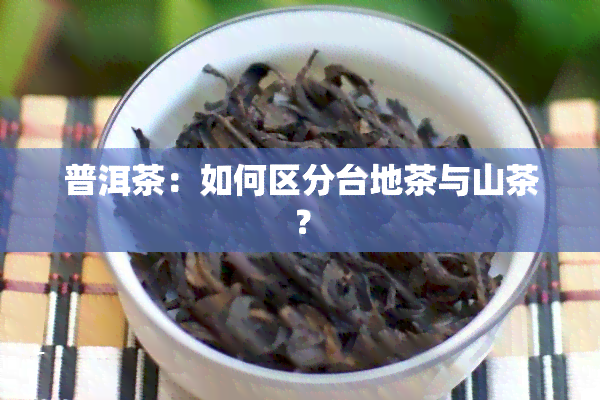 普洱茶：如何区分台地茶与山茶？