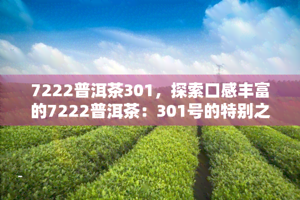 7222普洱茶301，探索口感丰富的7222普洱茶：301号的特别之处