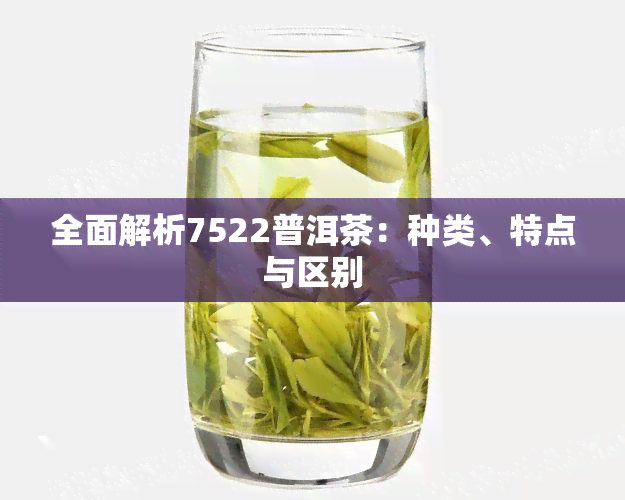 全面解析7522普洱茶：种类、特点与区别