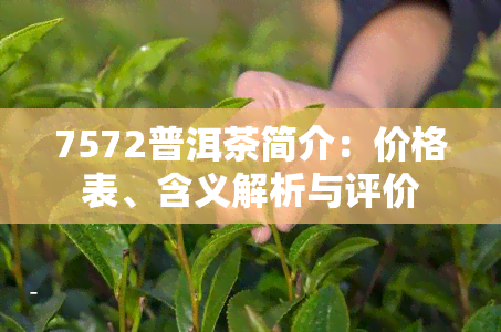 7572普洱茶简介：价格表、含义解析与评价