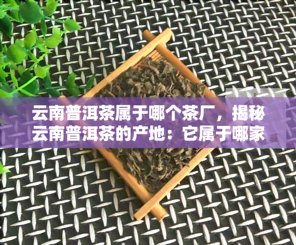 云南普洱茶属于哪个茶厂，揭秘云南普洱茶的产地：它属于哪家茶厂？