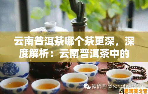 云南普洱茶哪个茶更深，深度解析：云南普洱茶中的