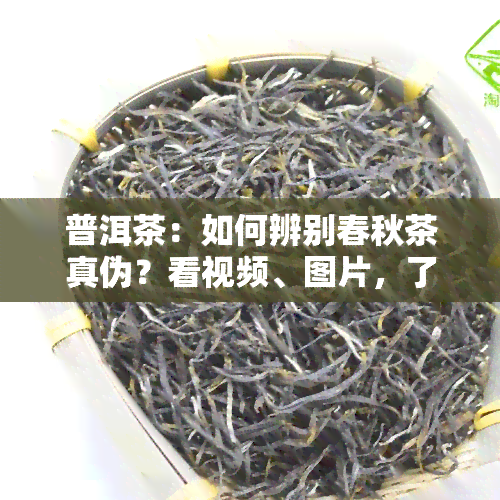 普洱茶：如何辨别春秋茶真伪？看视频、图片，了解区分方法！