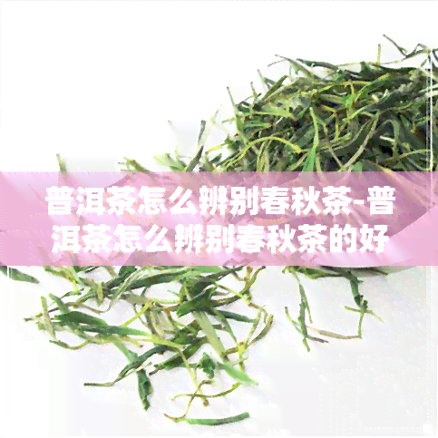 普洱茶怎么辨别春秋茶-普洱茶怎么辨别春秋茶的好坏