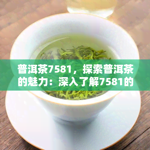 普洱茶7581，探索普洱茶的魅力：深入了解7581的起源与特点