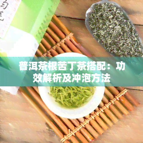 普洱茶根苦丁茶搭配：功效解析及冲泡方法