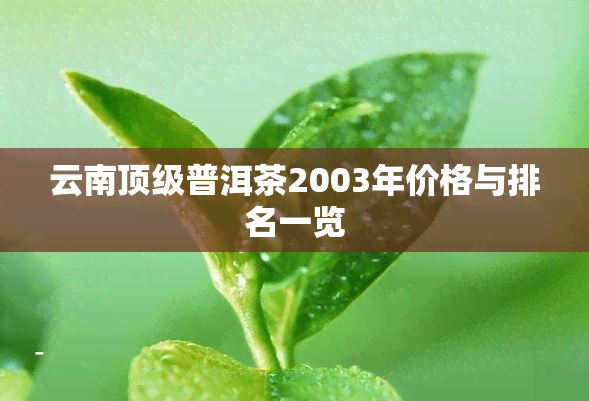 云南顶级普洱茶2003年价格与排名一览