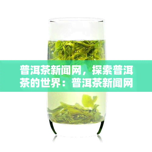 普洱茶新闻网，探索普洱茶的世界：普洱茶新闻网带你了解最新资讯和趋势