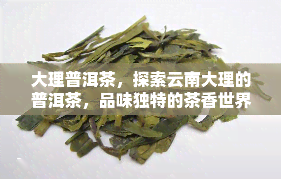 大理普洱茶，探索云南大理的普洱茶，品味独特的茶香世界