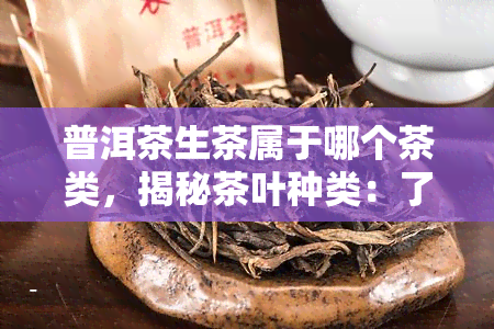 普洱茶生茶属于哪个茶类，揭秘茶叶种类：了解普洱茶生茶的归属