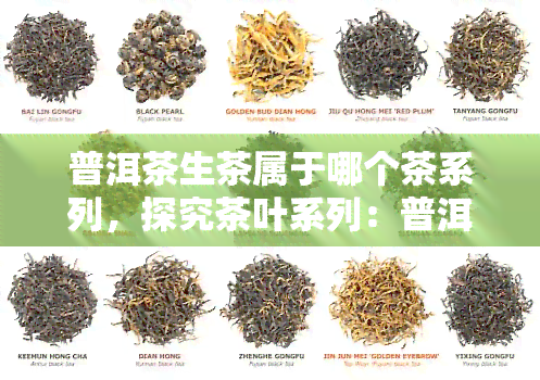 普洱茶生茶属于哪个茶系列，探究茶叶系列：普洱茶生茶的归属