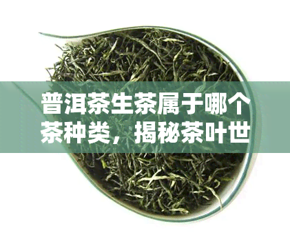 普洱茶生茶属于哪个茶种类，揭秘茶叶世界：普洱茶生茶属于哪一类？