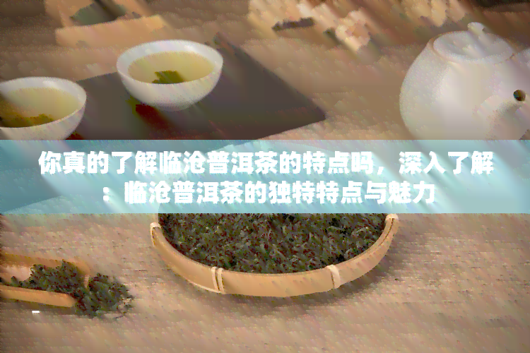 你真的了解临沧普洱茶的特点吗，深入了解：临沧普洱茶的独特特点与魅力