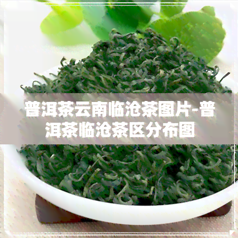 普洱茶云南临沧茶图片-普洱茶临沧茶区分布图