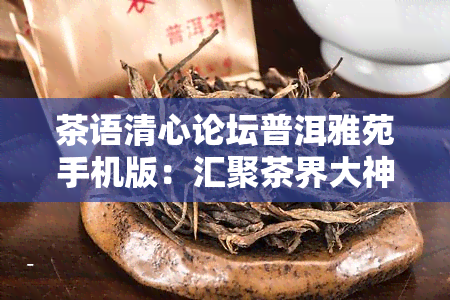 茶语清心论坛普洱雅苑手机版：汇聚茶界大神，分享普洱茶知识与经验，探讨普洱雅苑茶话清心的精髓。