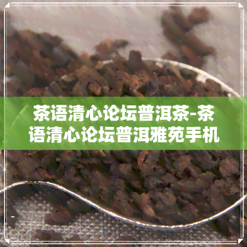 茶语清心论坛普洱茶-茶语清心论坛普洱雅苑手机版