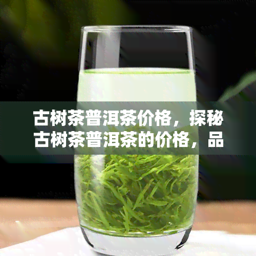 古树茶普洱茶价格，探秘古树茶普洱茶的价格，品味历与价值的交织