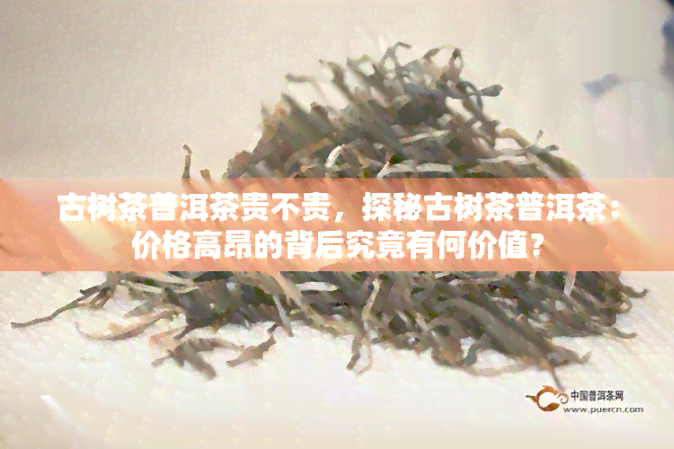 古树茶普洱茶贵不贵，探秘古树茶普洱茶：价格高昂的背后究竟有何价值？