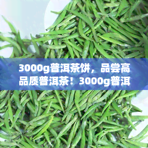 3000g普洱茶饼，品尝高品质普洱茶！3000g普洱茶饼现正热卖中！