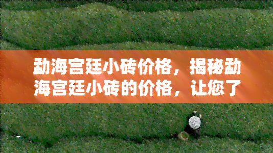 勐海宫廷小砖价格，揭秘勐海宫廷小砖的价格，让您了解其价值所在！