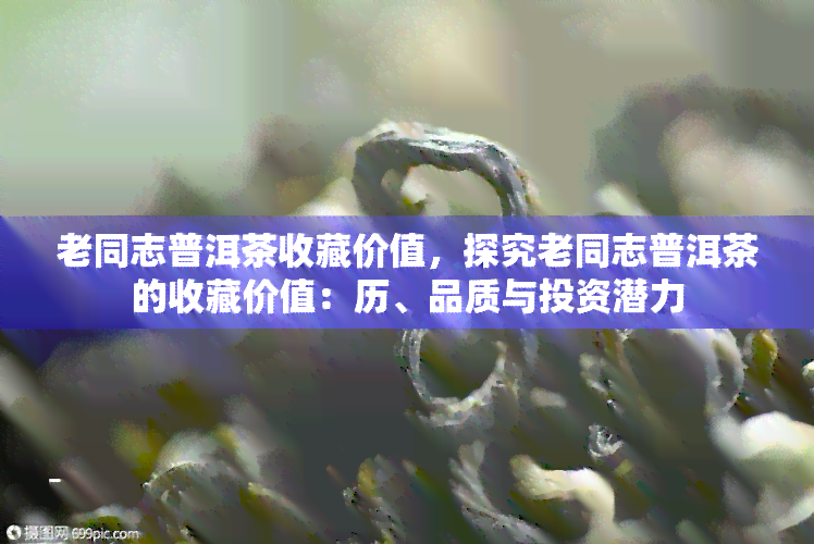 老同志普洱茶收藏价值，探究老同志普洱茶的收藏价值：历、品质与投资潜力