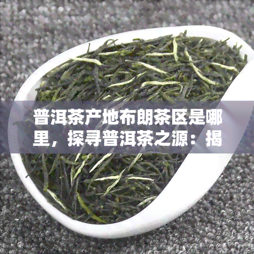 普洱茶产地布朗茶区是哪里，探寻普洱茶之源：揭秘布朗茶区的产地特色