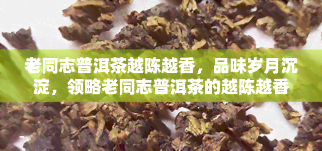 老同志普洱茶越陈越香，品味岁月沉淀，领略老同志普洱茶的越陈越香