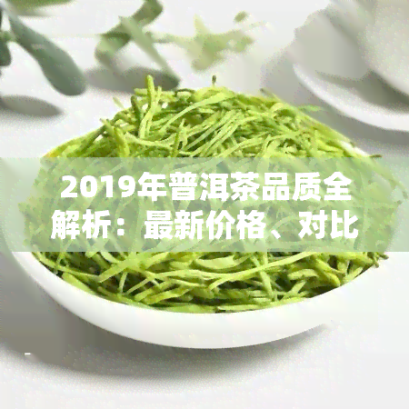 2019年普洱茶品质全解析：最新价格、对比分析及熟茶特点