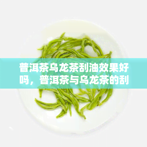 普洱茶乌龙茶刮油效果好吗，普洱茶与乌龙茶的刮油效果比较：哪个更好？