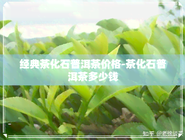 经典茶化石普洱茶价格-茶化石普洱茶多少钱