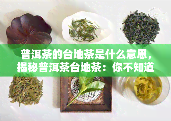 普洱茶的台地茶是什么意思，揭秘普洱茶台地茶：你不知道的知识点