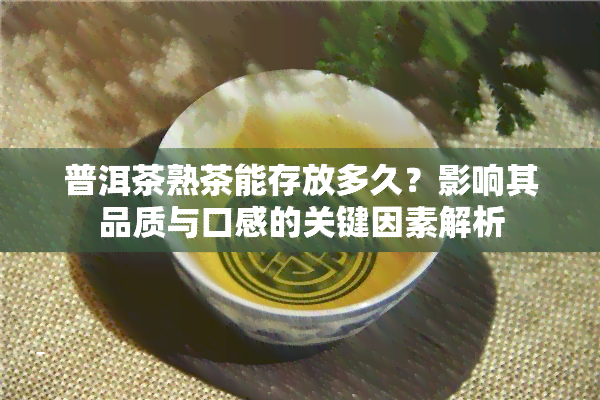 普洱茶熟茶能存放多久？影响其品质与口感的关键因素解析