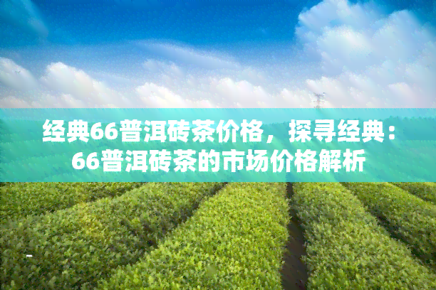 经典66普洱砖茶价格，探寻经典：66普洱砖茶的市场价格解析