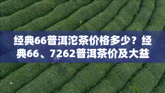 经典66普洱沱茶价格多少？经典66、7262普洱茶价及大益经典66普洱沱茶套价格全解析，经典普洱价格也一并揭晓！