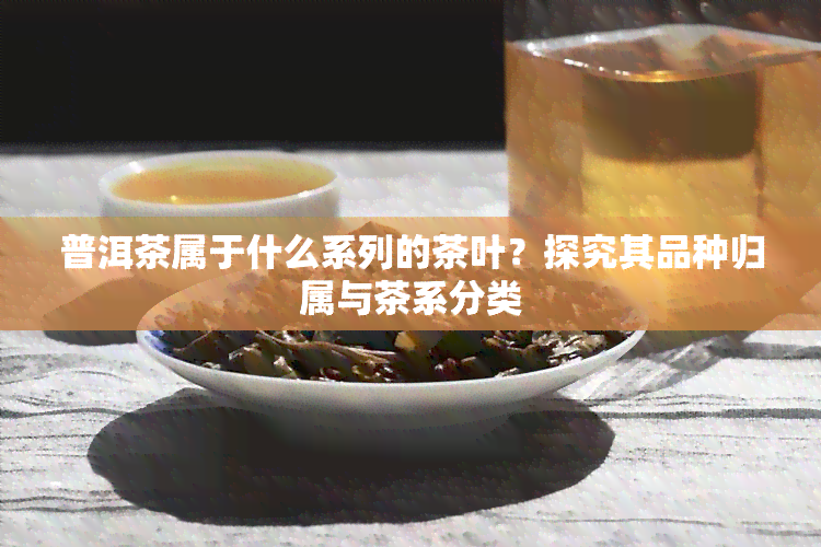 普洱茶属于什么系列的茶叶？探究其品种归属与茶系分类