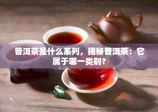 普洱茶是什么系列，揭秘普洱茶：它属于哪一类别？