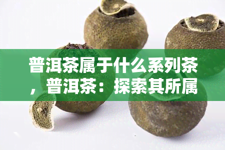 普洱茶属于什么系列茶，普洱茶：探索其所属的茶叶系列