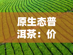 原生态普洱茶：价格、礼盒、特点及饼的价格与选择图案建议