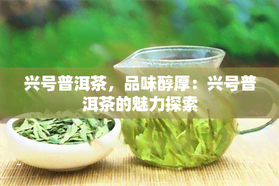 兴号普洱茶，品味醇厚：兴号普洱茶的魅力探索