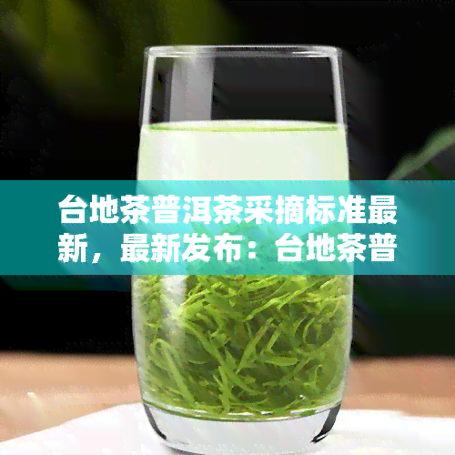 台地茶普洱茶采摘标准最新，最新发布：台地茶普洱茶的采摘标准