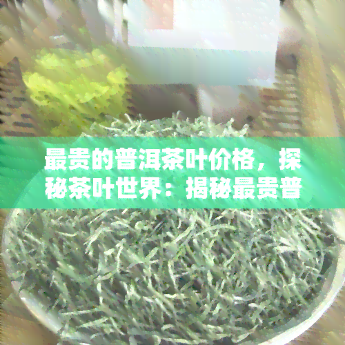 最贵的普洱茶叶价格，探秘茶叶世界：揭秘最贵普洱茶叶的价格与背后故事