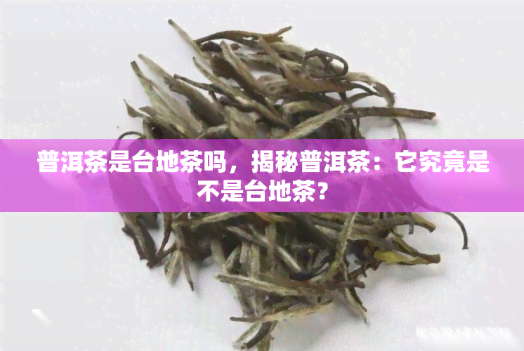 普洱茶是台地茶吗，揭秘普洱茶：它究竟是不是台地茶？