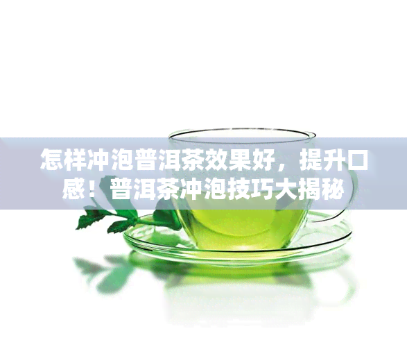 怎样冲泡普洱茶效果好，提升口感！普洱茶冲泡技巧大揭秘