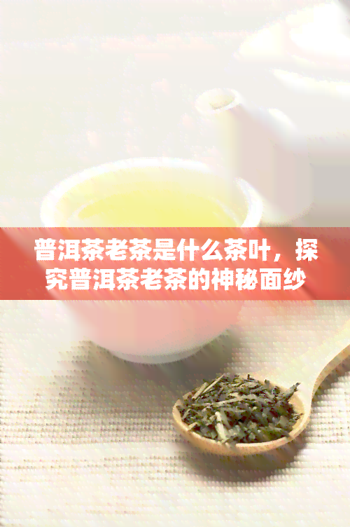 普洱茶老茶是什么茶叶，探究普洱茶老茶的神秘面纱：它到底是什么茶叶？