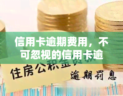 信用卡逾期费用，不可忽视的信用卡逾期费用：你需要知道的一切