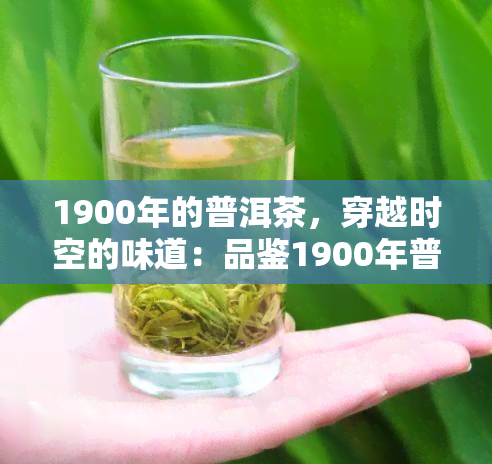 1900年的普洱茶，穿越时空的味道：品鉴1900年普洱茶的传奇历与独特风味