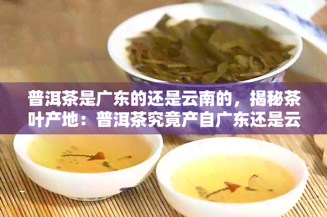 普洱茶是广东的还是云南的，揭秘茶叶产地：普洱茶究竟产自广东还是云南？